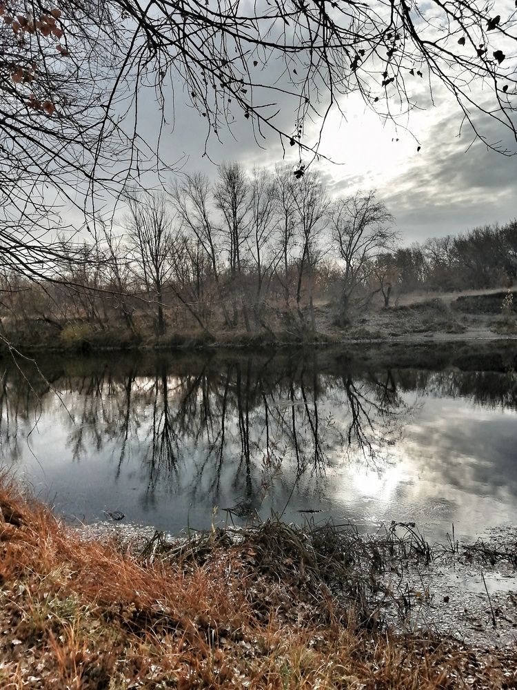 Photograph by Ольга Мокрова