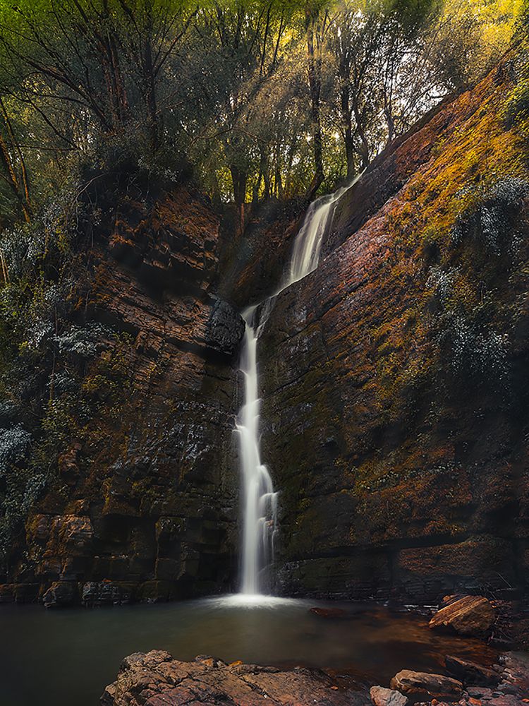 Фотография автора Farhad Alidost