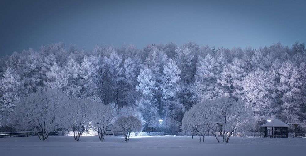 Photograph by Роман Врубель