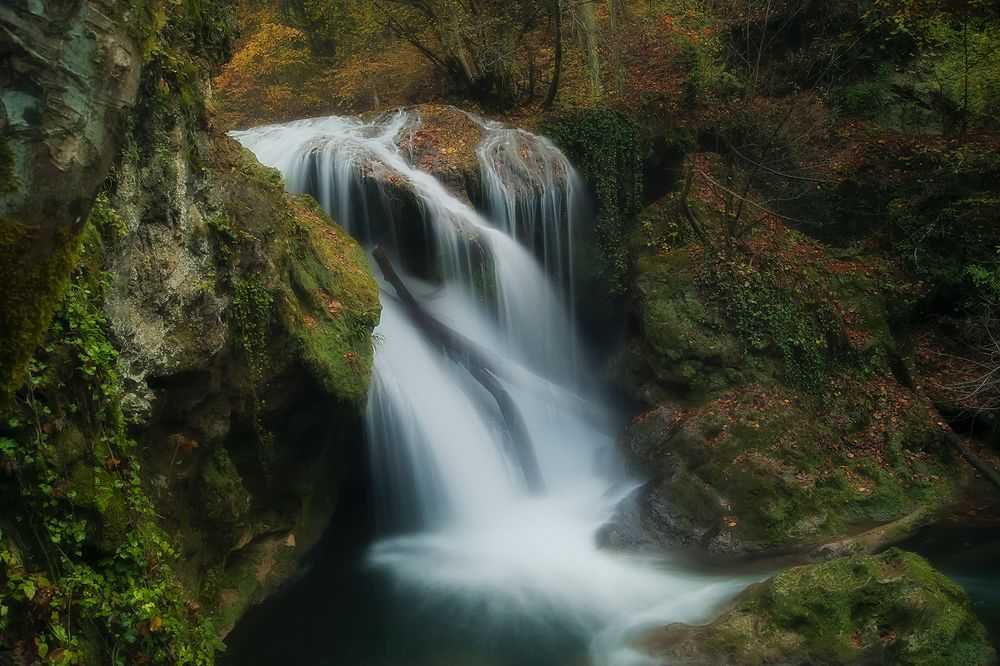 Photograph by Costin Motea