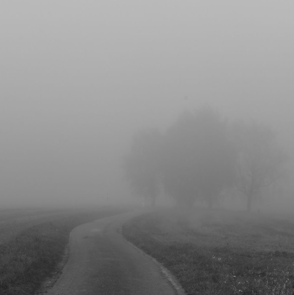 Photograph by Schewzow Lana