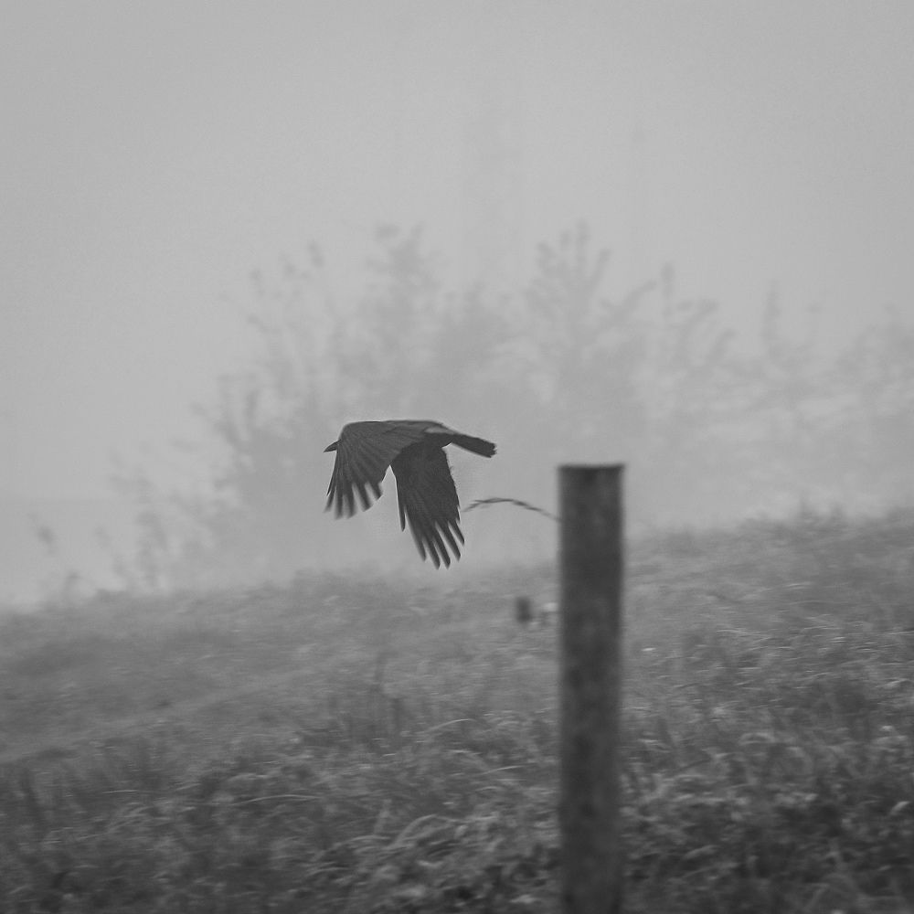 Photograph by Schewzow Lana