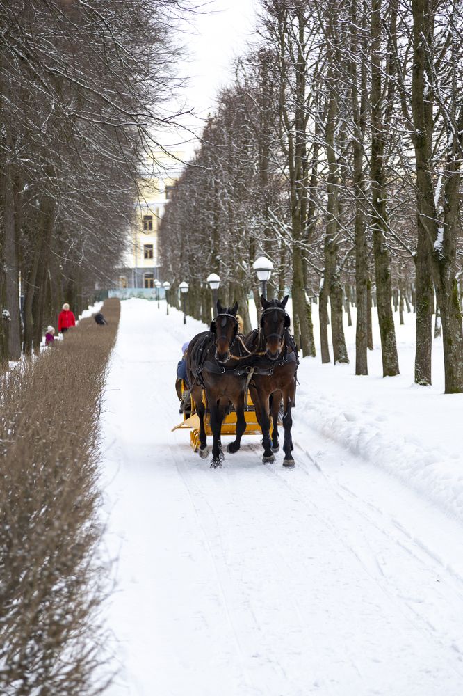 Photograph by Александр Батурин