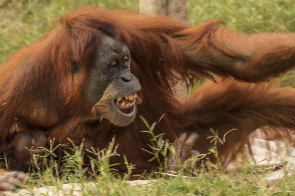 Photograph by klara Neikov