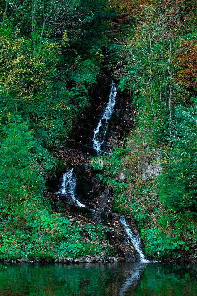 Фотография автора Наталія Савка