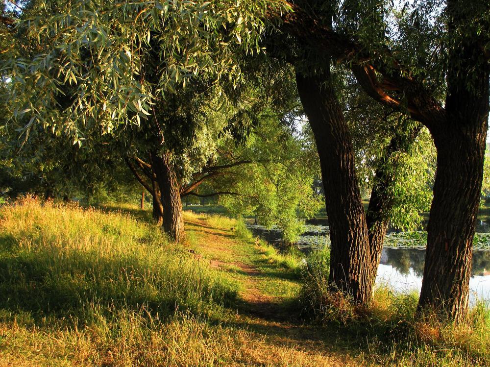 Photograph by Юлия