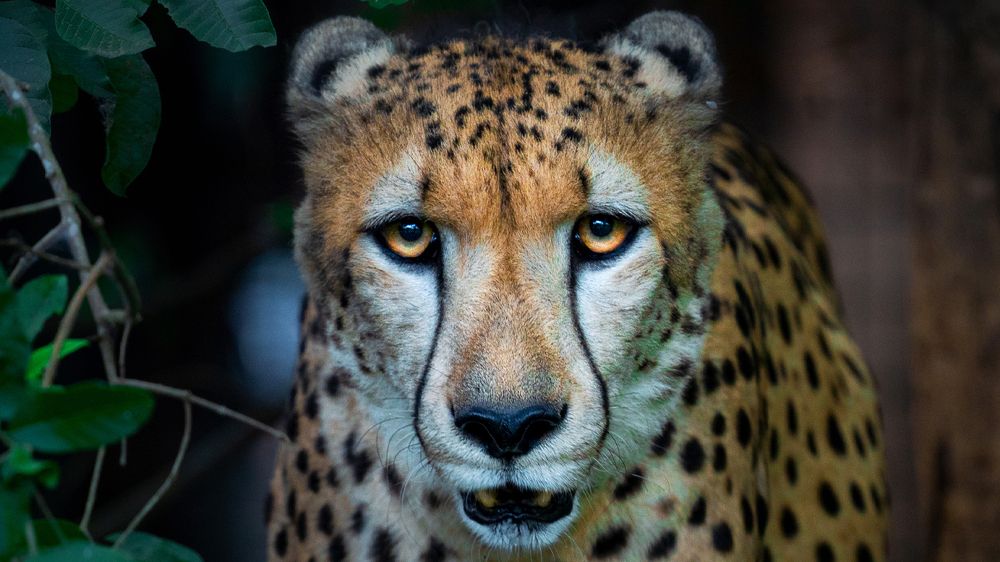 Photograph by Artem Khazov