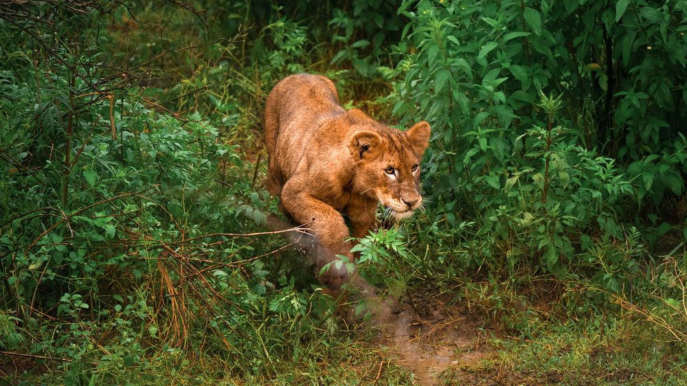 Photograph by Artem Khazov