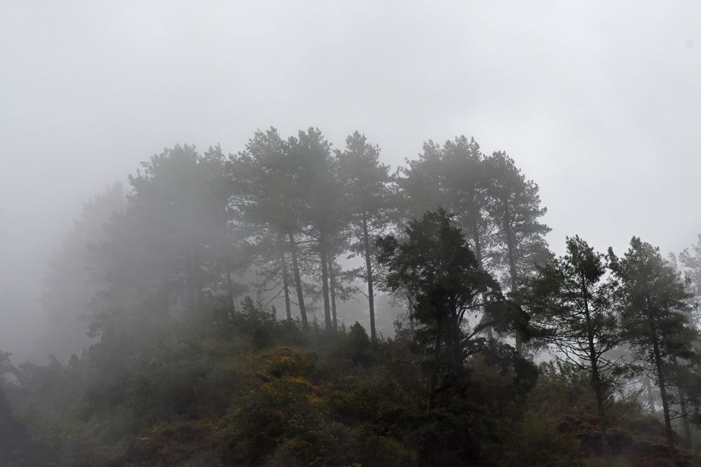 Photograph by Наталья Ляшенко