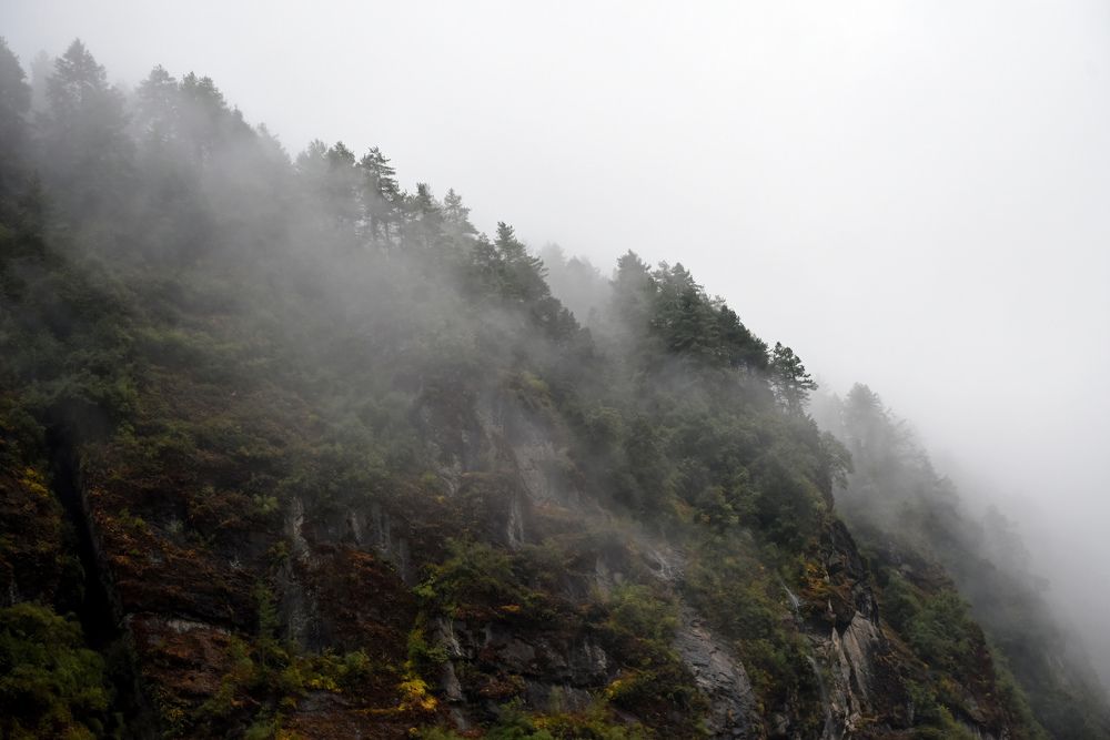 Photograph by Наталья Ляшенко