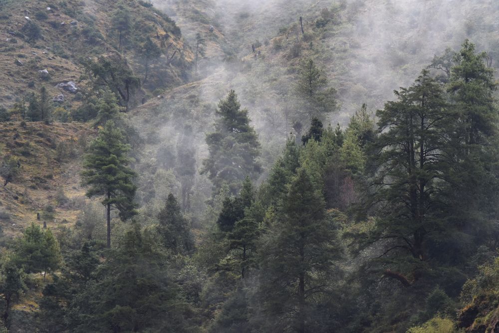 Photograph by Наталья Ляшенко