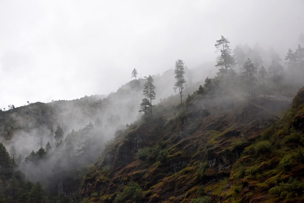 Photograph by Наталья Ляшенко