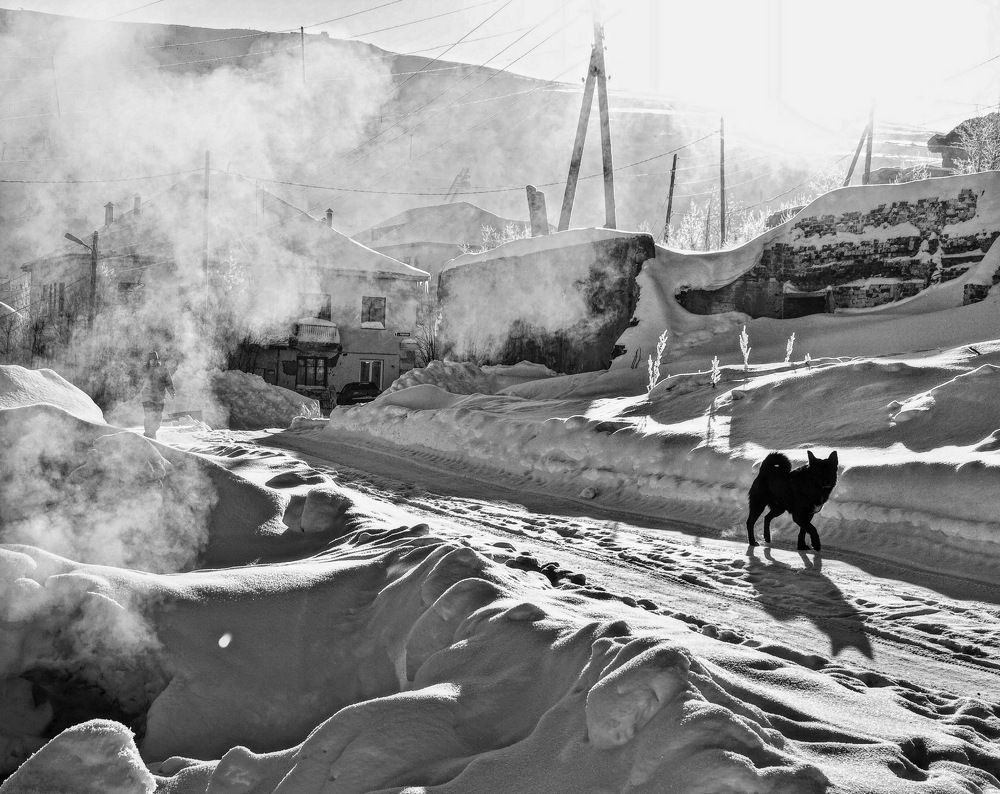 Photograph by Алексей Солдатов