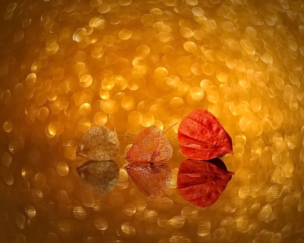 Photograph by Людмила Ефремова