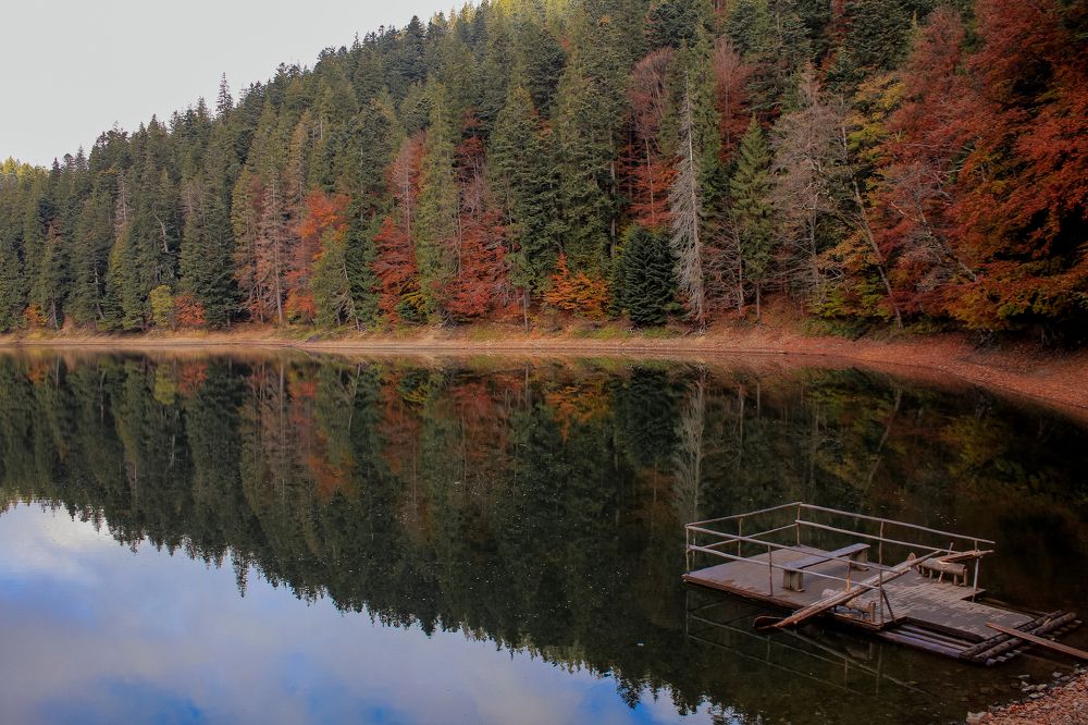 Фотография автора Наталія Савка