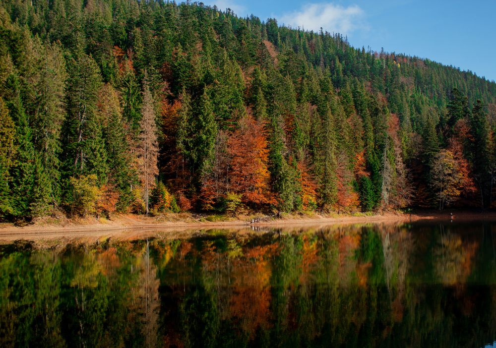 Фотография автора Наталія Савка