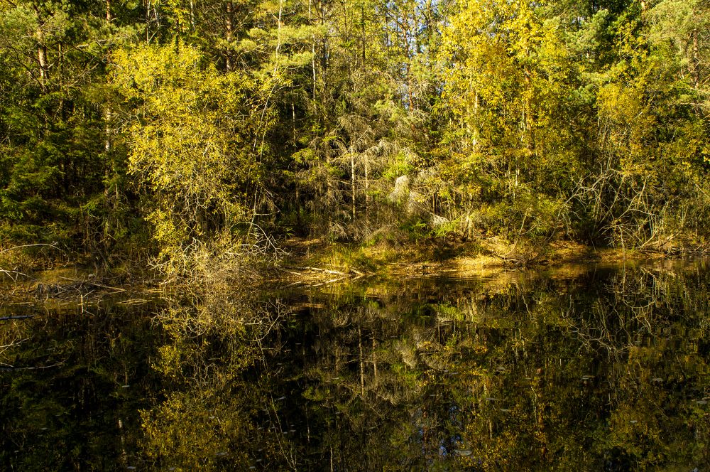 Photograph by Павел Минкевич