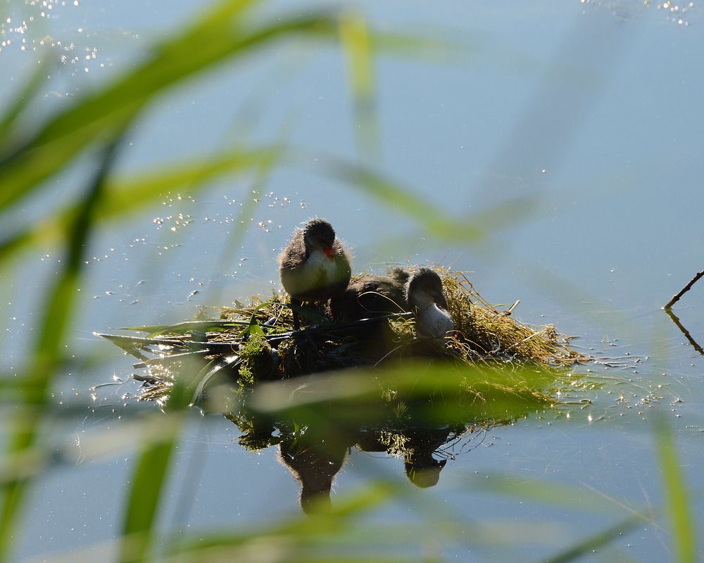 Photograph by Леонид Соснин