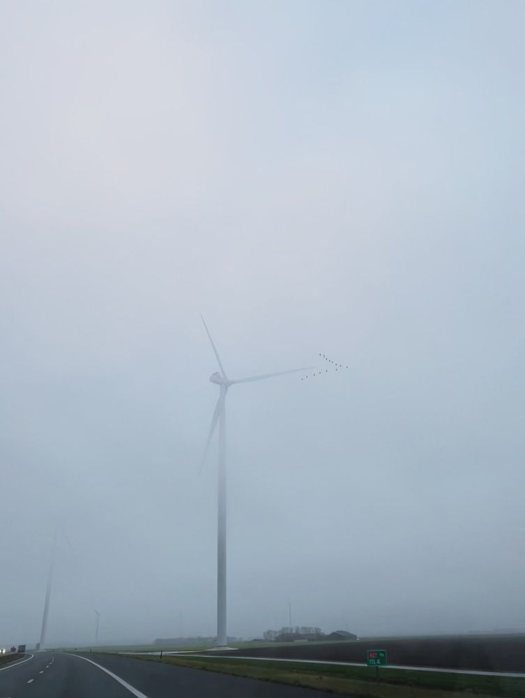 Фотография автора Anna