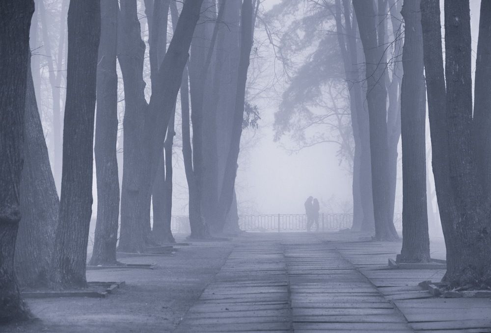 Photograph by Светлана Кравченко