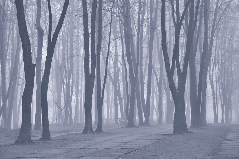 Photograph by Светлана Кравченко