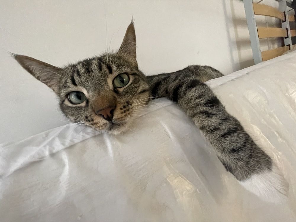 Photograph by Надежда Заломаева