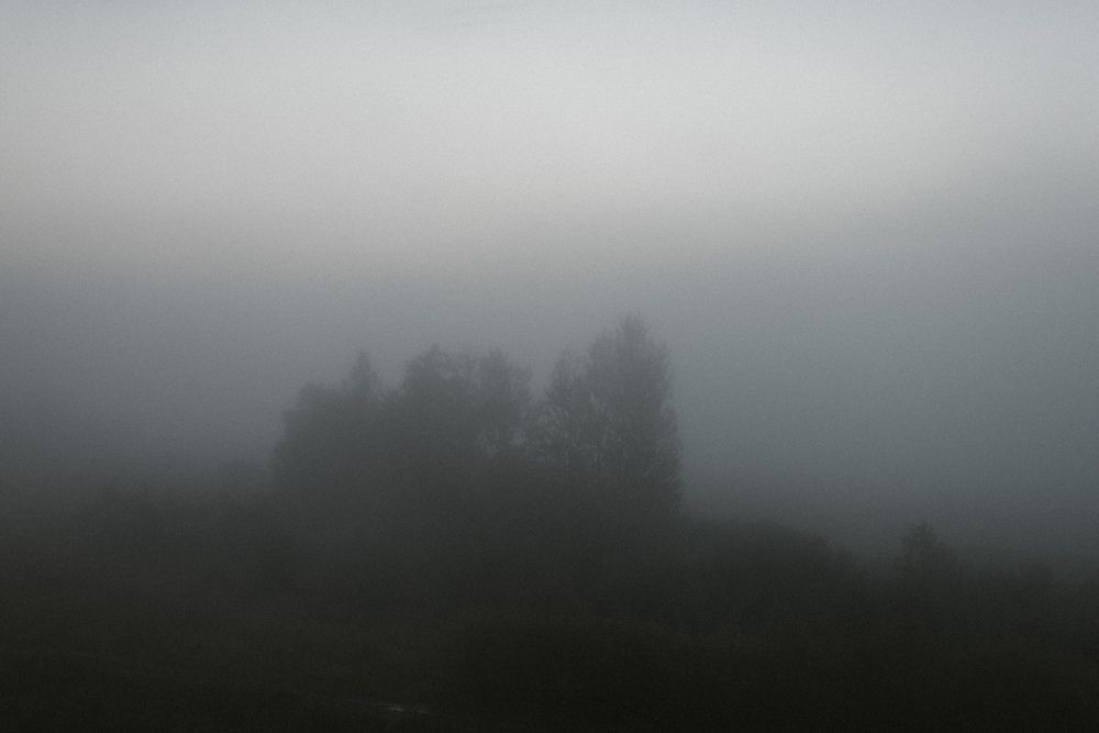 Фотография автора Сергей Миронов