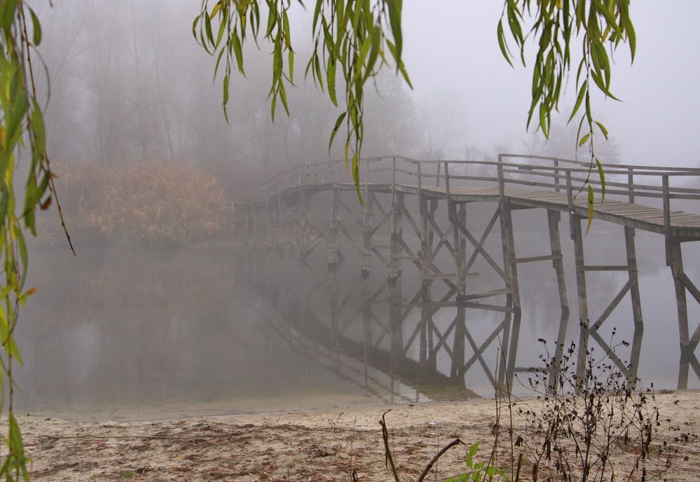 Photograph by Светлана Кравченко