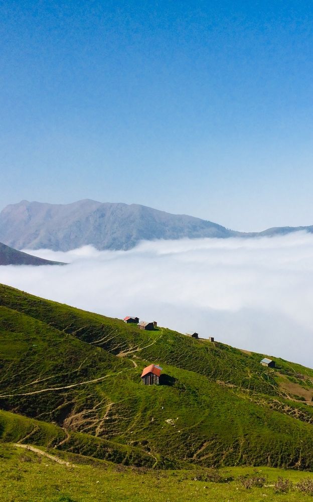 Photograph by hanie rashidi