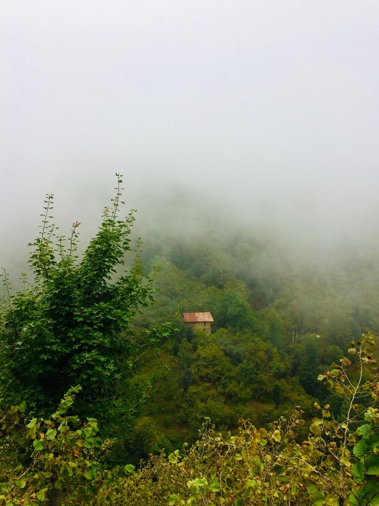 Photograph by hanie rashidi