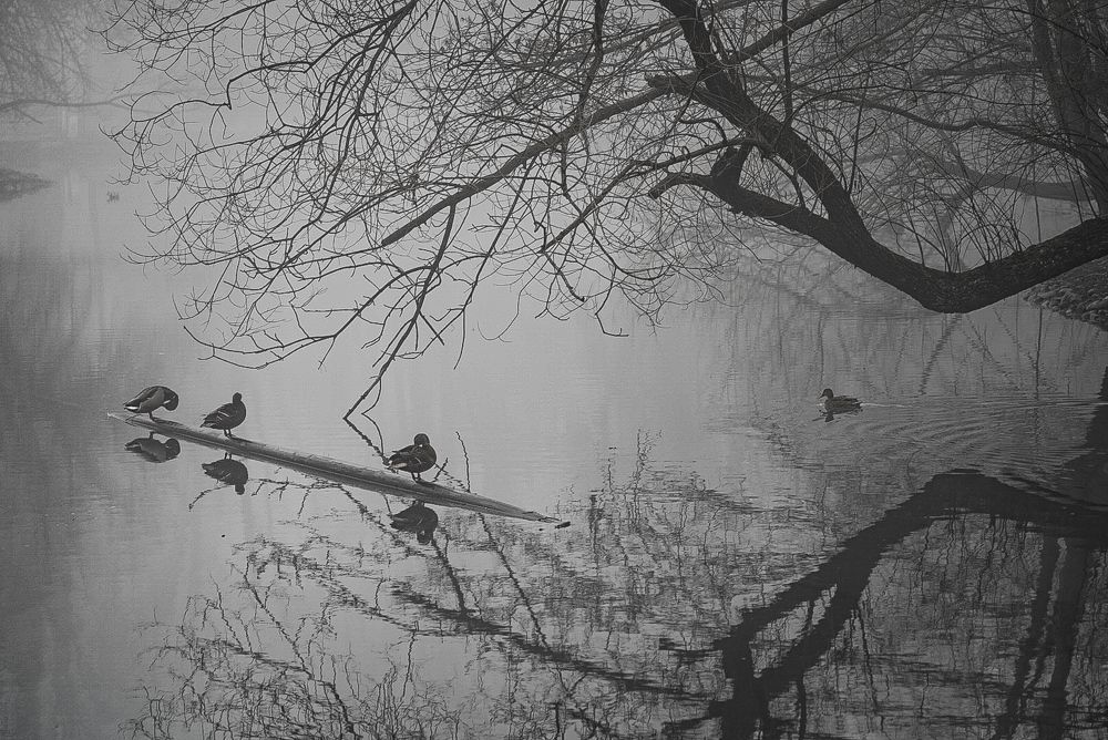 Photograph by Родин Владимир Ильич