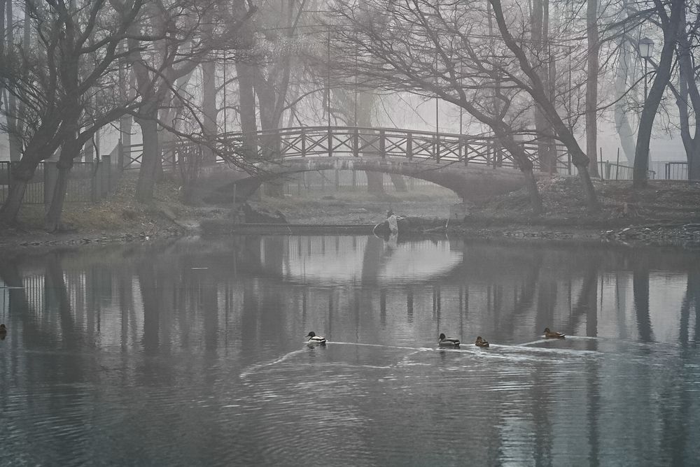 Photograph by Родин Владимир Ильич