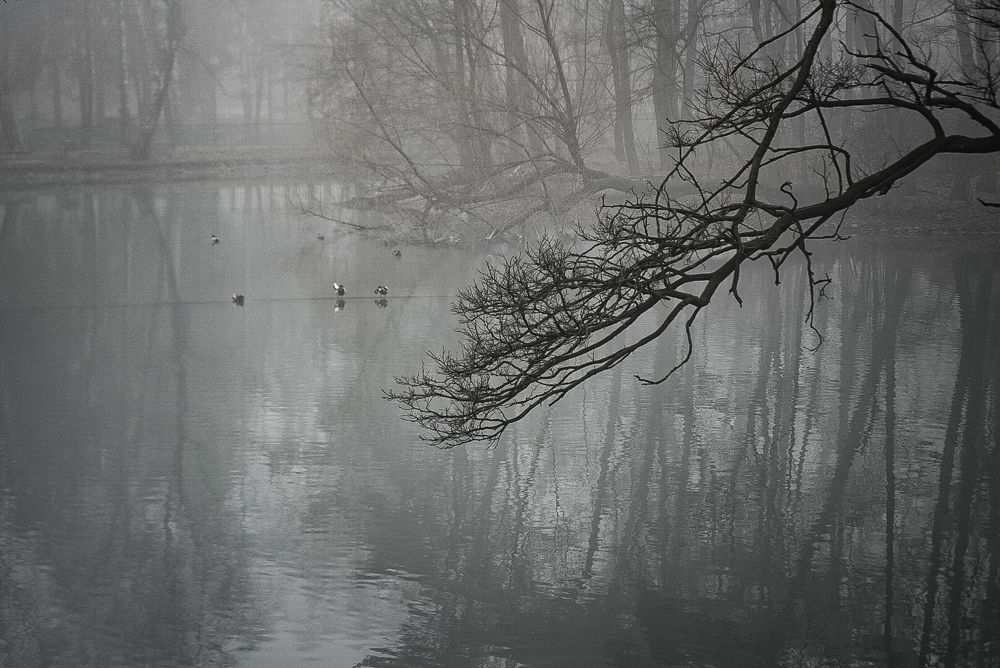 Photograph by Родин Владимир Ильич