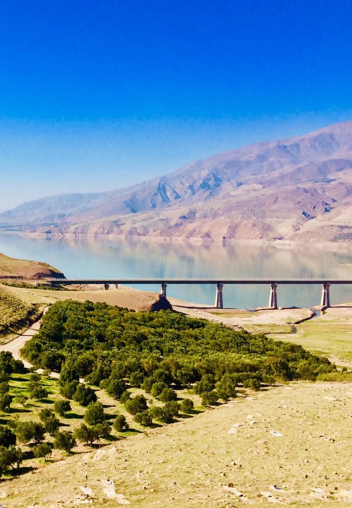 Photograph by hanie rashidi