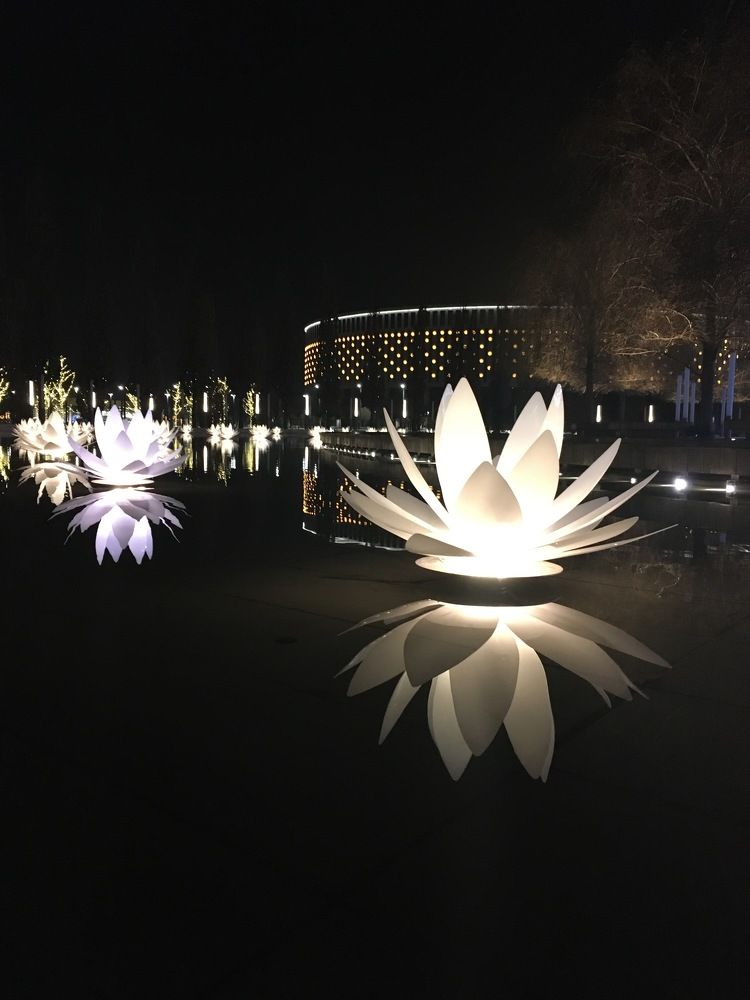 Фотография автора Ксения