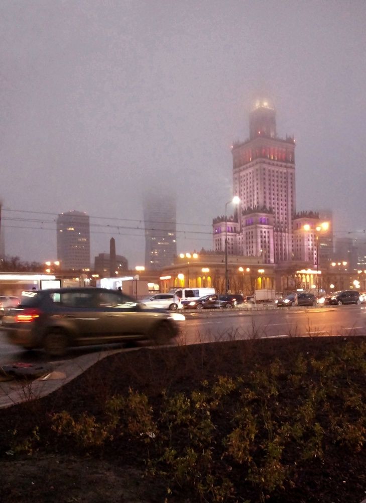 Photo #6889289