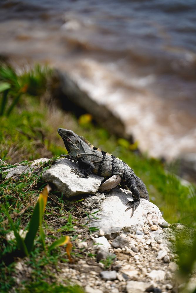 Photograph by Ekaterina Sukhanova