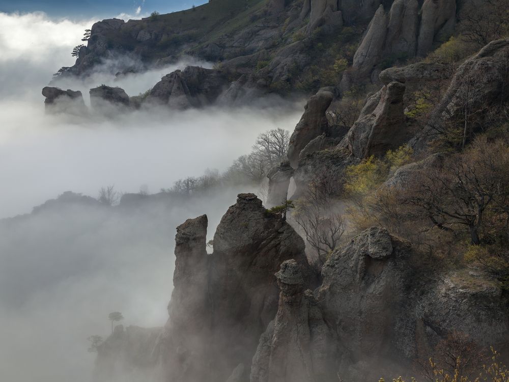 Фотография автора Dmitry Finkel