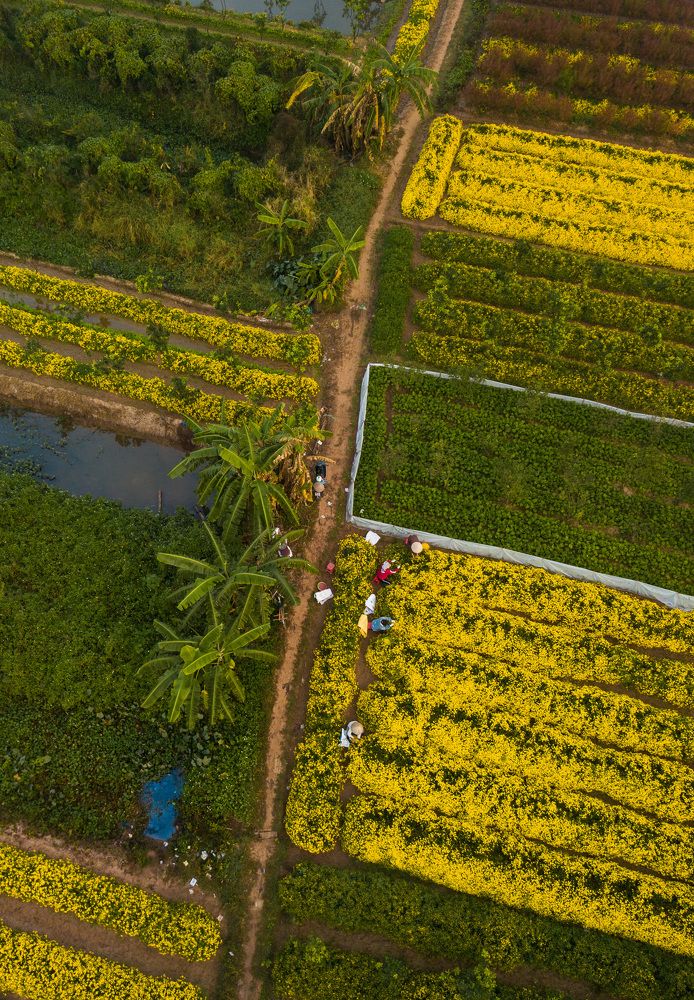 Photograph by Anh Tuấn Trần