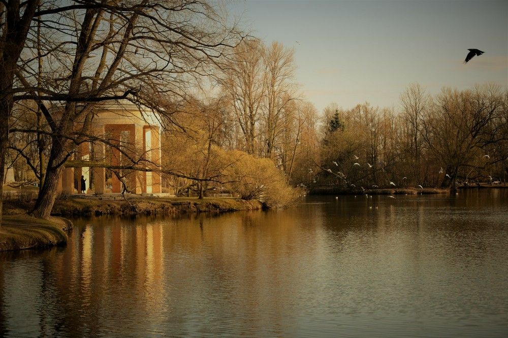 Фотография автора Альбина Хвастунова