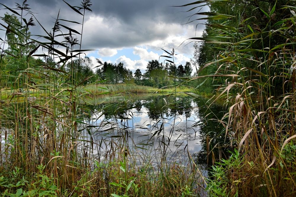 Фотография автора Альбина Хвастунова