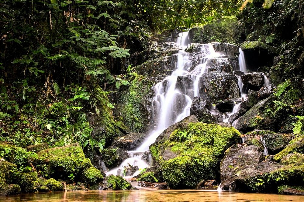 Photograph by Eduardo Bom