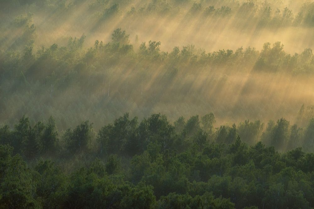 Photograph by Евгений Гецев