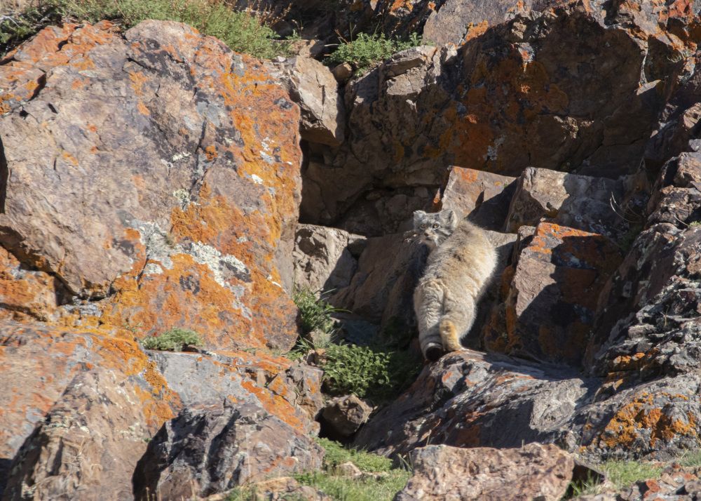 Photograph by Денис Жбир