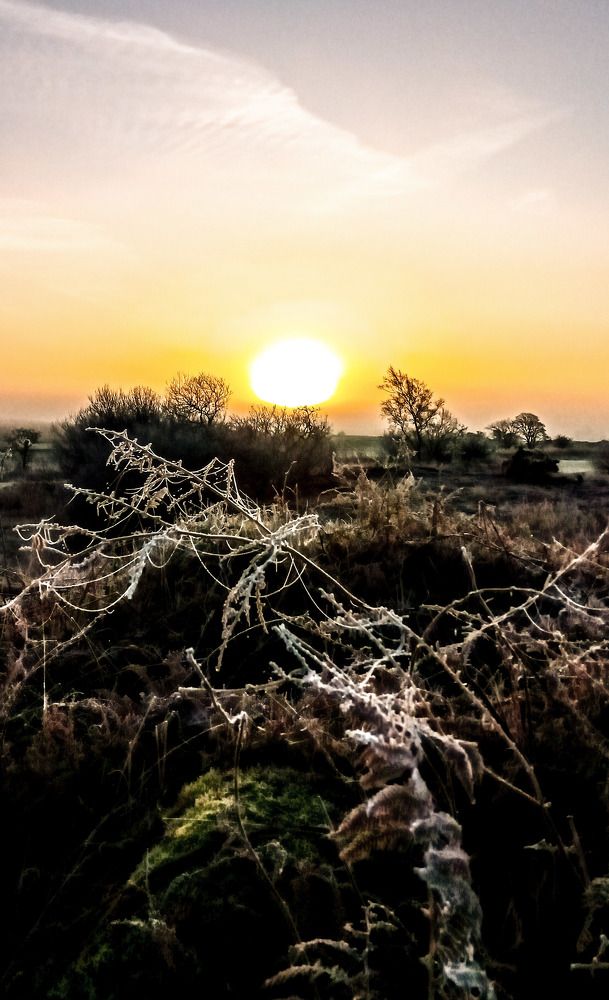 Фотография автора Michael Gault