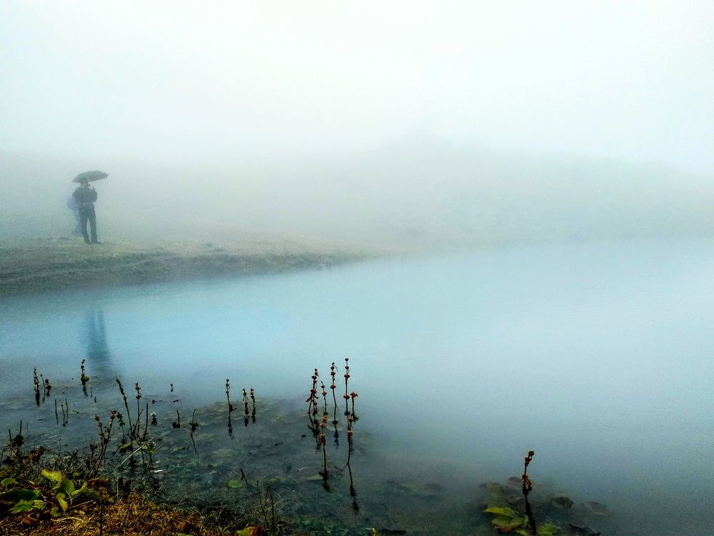 Photograph by Наиля Омарова