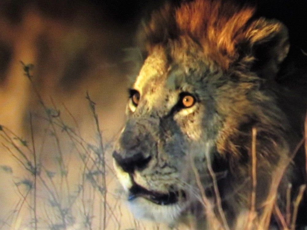 Photograph by Галина