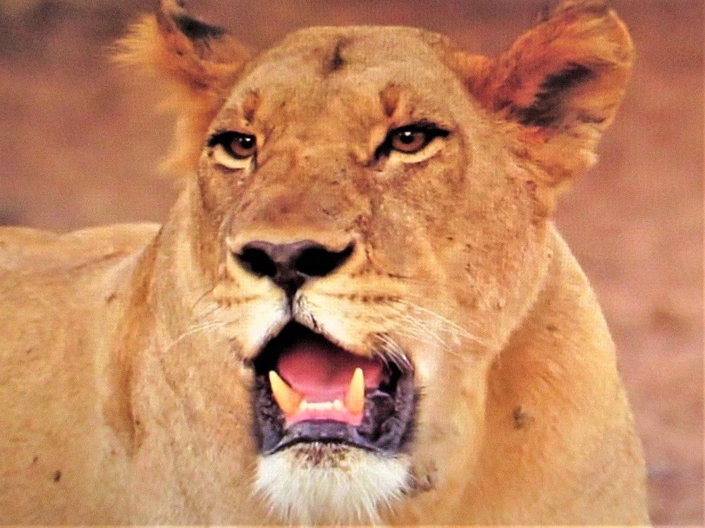 Photograph by Галина