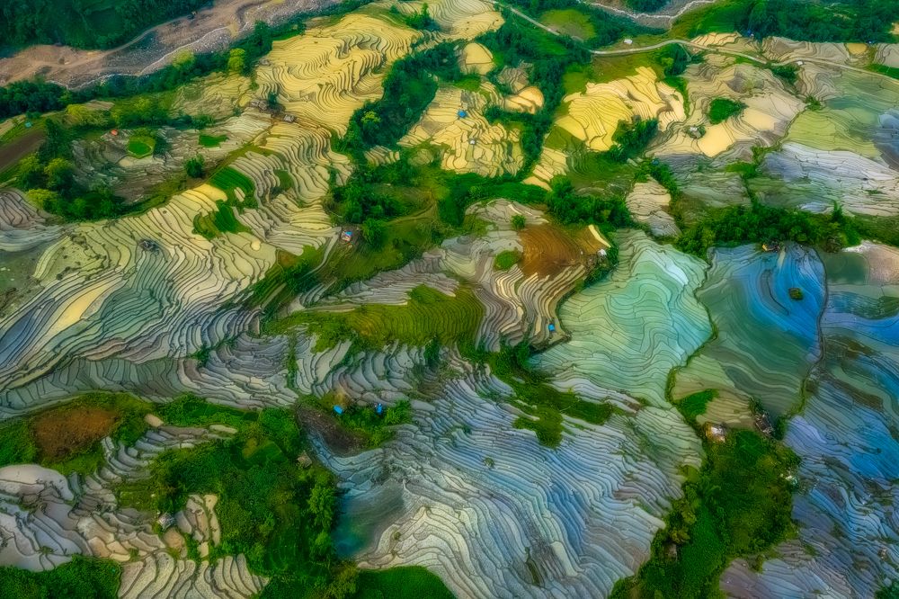 Photograph by Lê Huy Anh