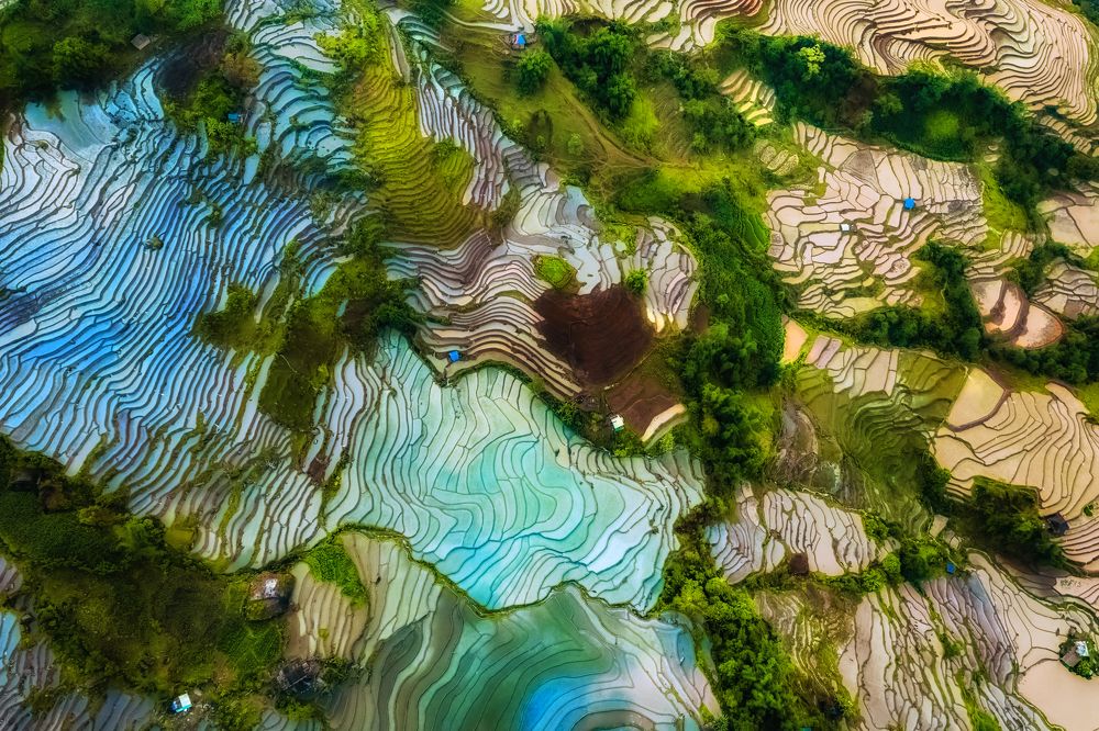 Photograph by Lê Huy Anh